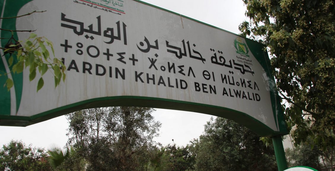 زيارة ميدانية لعدد من الفضاءات الترفيهية وحدائق القرب (9)